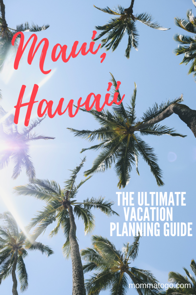 Hawai'i: The Big %ｶﾝﾏ% 5th Edition: Making the Most of Your Family Vacation (Paradise Family Guide) Hawai'i: The Big Island%ｶﾝﾏ% 5th Edition: Making the Most of Your